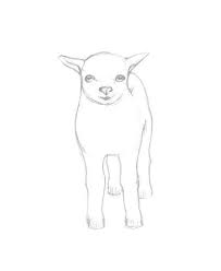 Wir werden uns bemühen ihre wünsche zu erfüllen. Wie Zeichnet Man Eine Ziege Schritt Fur Schritt Design Illustration Website Entwicklung Computerspiele Und Mobile Anwendungen