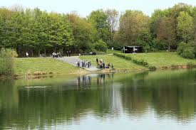 Der park entstand anfang der 90er, als der kiesabbau in dieser region beendet und das gelände. File Ratingen Erholungspark Volkardey Gruner See 08 Ies Jpg Wikimedia Commons