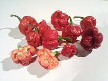 Trinidad chocolate scorpion pepper scoville. Trinidad Moruga Scorpion Wikipedia