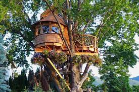 These are some of the best tree house cabins 'near me' that you'll find. Amazing Treehouses You Ll Want To Call Home Loveproperty Com