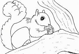 Browse your favorite printable squirrel coloring pages category to color and print and make your own squirrel coloring book. Nature Page 2 Of 4