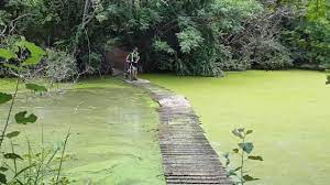 How much prices on request. Floating Bridge At Van Gaalens Cheese Farm Youtube
