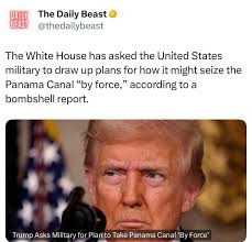 Liz Cheney/Adam Kinzinger Against Trump