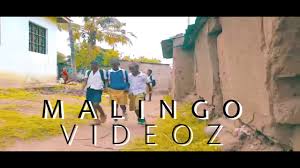 De l'information & analyste politique. Nzunaye Bhudagala Ukabheja No Official Video By Baraka Chasama Tv