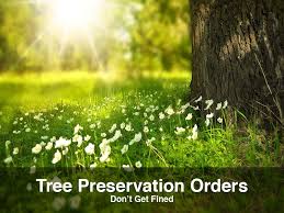 They may make an area visually more attractive or may be of historical significance. Tree Preservation Orders Stockport Tree Services