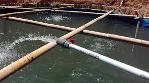 Ujicoba Kolam Terpal Dengan Aerator Youtube