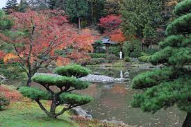 Momiji At The Seattle Japanese Garden Seattle Japanese Garden Japanese Garden Garden