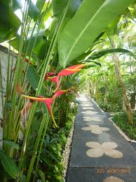 Bird Of Paradise Meaning In Marathi Novotel Bali Benoa Com Imagens Jardim Murado Paisagismo Jardinagem E Paisagismo