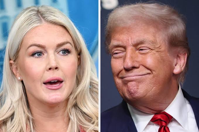 Trump Doesn't Seem To Be Joking About 2028, And Karoline Leavitt Had This  To Say - AOL