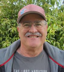 300 MILLION SEEDLINGS