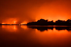 Fire is diametrically opposed to water, but there is no direct advantage outside some of the video games (however this idea also appears in the effects. As 6 Causas Principais Da Tragedia Dos Incendios No Pantanal Ecoa