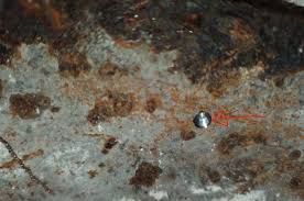 Image result for site:byggahus.se weber performance