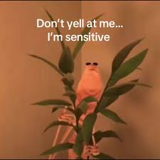 Don't Yell at Me, I'm Sensitive: Understanding Emotions | TikTok