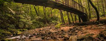 Check spelling or type a new query. Jones Gap State Park
