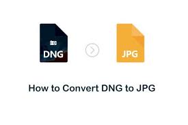 Convert Dng To Jpg On Windows Mac Online Batch Conversion Support Online Converter Converter Photoshop Elements