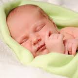 The Sleep Sense Program by Dana Obleman