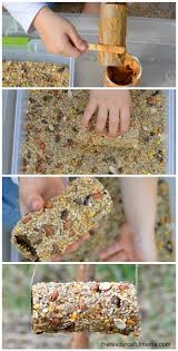Easy Toilet Paper Roll Bird Feeder Craft Bird Feeder Craft Bird Feeders Homemade Bird Feeders