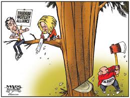 He has represented the riding of calgary southeast in the canadian house of commons. Morning Brief All Eyes On Alberta Ipolitics