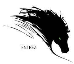Copy Of The Black Stallion Logo