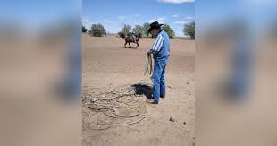 Edward Morrow Obituary