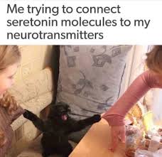 17 Of The Funniest Memes About Science And Scientists