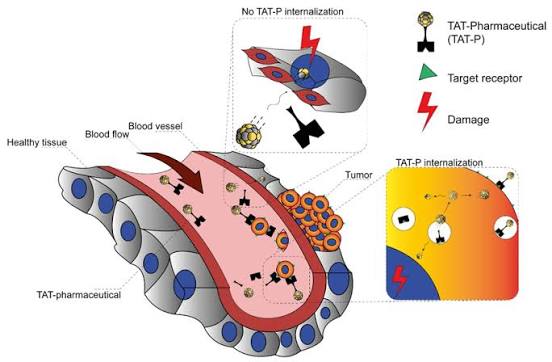 Nuclear recoil effect during α-decay within pharmaceuticals for... | Download Scientific Diagram
