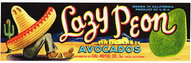 Image result for Avocado Light 1969 Tappan