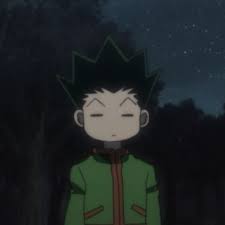 Let's highlight and celebrate some male and female anime characters who became. Hisoka Gon Funny Face Novocom Top