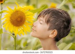 5+ Million Growth Flowers Royalty-Free Images, Stock Photos & Pictures