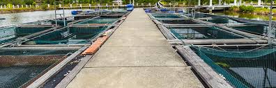 The american tree farm system works to sustain forests, watershed and healthy wildlife habitats. A Model For Risk Based Surveillance In Fish Farms