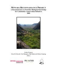 Image result for Commiphora fulvotomentosa