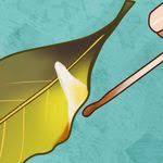 Aluminyum Folyonun Tedavi Amacli 4 Kullanimi Sosyolife Net 2020 Aluminyum Folyo Saglik Dogal Saglik