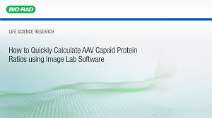 Image result for Poppy Red 1996 AAV