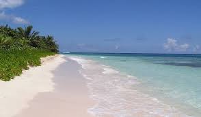 We did not find results for: The 20 Best Places To Live In Puerto Rico