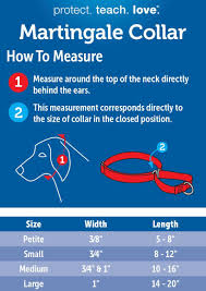 To measure your dog for a martingale collar, use a soft tape measure or a piece of string and take the measurements at point a, b, and c as shown in the drawing below. Alternative To Choke Collar Petsafe Martingale Dog Collar Pet Supplies Collars Bruno Cammareri Com