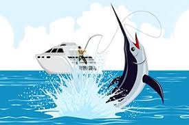 There was something about the clampetts that millions of viewers just couldn't resist watching. Saltwater Fishing Quiz Quiz Quizony Com