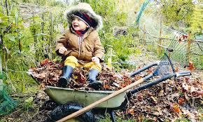 Mettez le son et laissez vous bercer. Les Feuilles Mortes Se Ramassent Elles Encore A La Pelle Le Petit Solognot