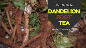 Dandelion roots are a weeds to many, but to others they're health food. How To Make Dandelion Root Tea Our 1 Dandelion Root Tea Recipe