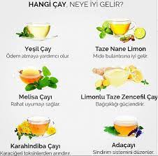 bitki caylari ve faydalari bitkiler saglik zayiflama beslenme herboloji saglikli