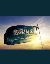 Ali Alsagri (@aalsagri0)