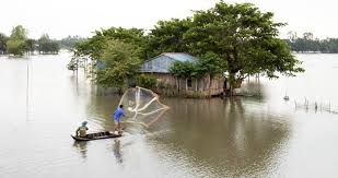 Quê hương bỏ lại | Tuyến Vũ – Cánh đồng truyền giáo