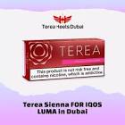 Terea dubai