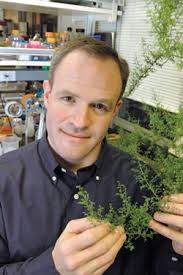 Berkeley Lab View -- April 29, 2005