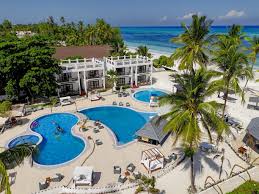 Dolphin Watching in Zanzibar: Everything You Need to Know