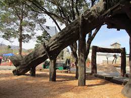 The Fallen Tree Tube Slide Located In The El Paso Zoo Tree House Playground El Paso Zoo Tree House Playground Tree House