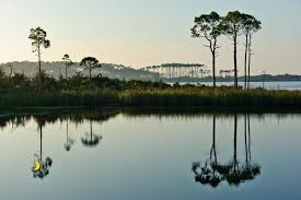 Maybe you would like to learn more about one of these? Grayton Beach State Park Grayton Beach