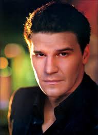 David Boreanaz