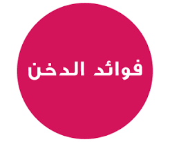 حياتي وردي فوائد الدخن الرائعة لصحة الجسم والشعر