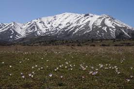 Η υψηλότερη λέγεται «ψηλή κορφή» με ύψος 2.374 μ. Xionodromiko Kentro Zhreias H Zhreia Xionodromiko Kentro Zhreias