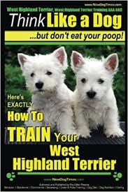 Puppies for adoption are regularly added to dogsblog.com. West Highland Terrier West Highland Terrier Training Aaa Akc Think Like A Dog But Don T Eat Your Poop Here S Exactly How To Train Your West Highlan Terrier 1 Amazon Co Uk Pearce Mr Paul